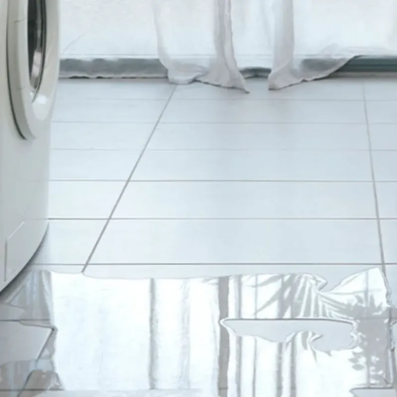 Appliance Leak Cleanup in Strathmore, CA