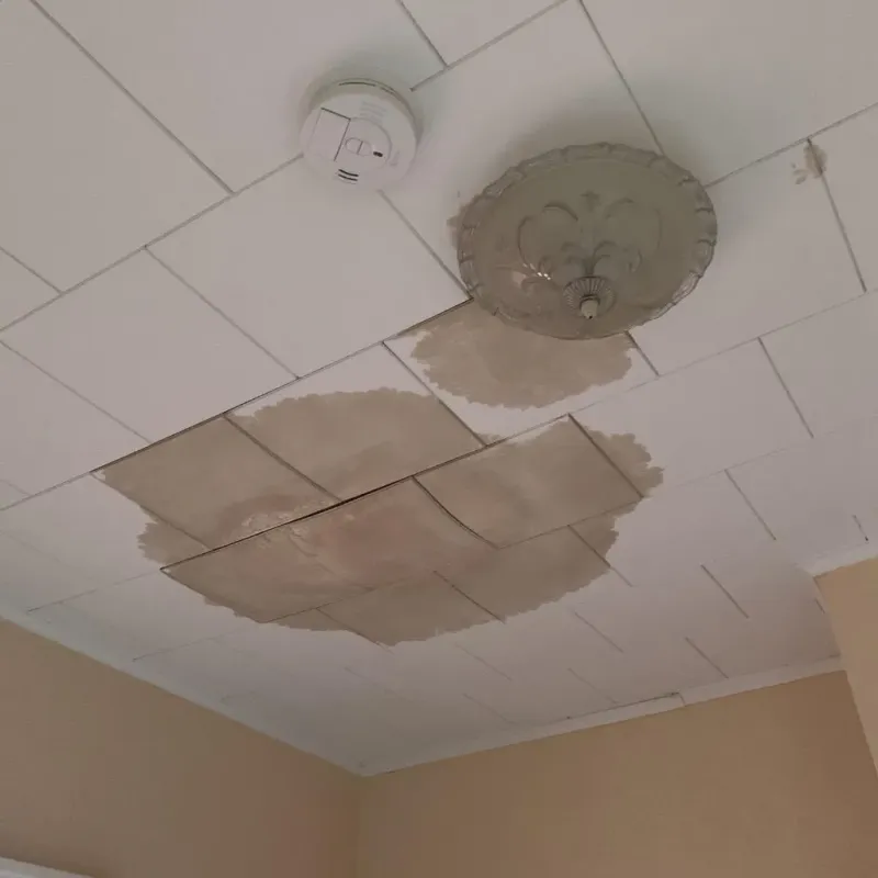Ceiling Water Damage Repair in Strathmore, CA