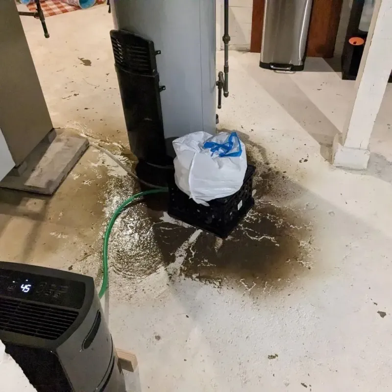 Sewage Backup Cleanup Service in Strathmore, CA